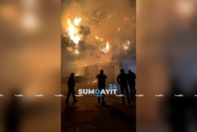 Sumqayıtda ağaclar yanıb, yoxsa yandırılıb? - Müəmma dolu məqamlar