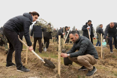 Dəmiryolçular “Heydər Əliyev ili” çərçivəsində 1000 ağac əkiblər