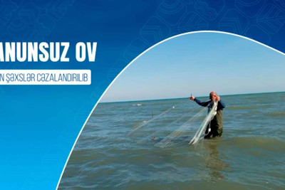 Sumqayıtda qanunsuz ov edən şəxslər cəzalandırılıblar