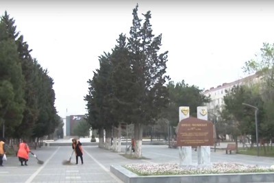Lüdviqshafen parkında iməcilik keçirilib
