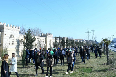 Sumqayıtda 300-dən çox müxtəlif ağaclar əkilib