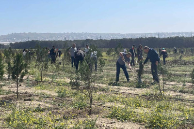 Ceyranbatan su anbarının ətrafında ağaclar əkilib