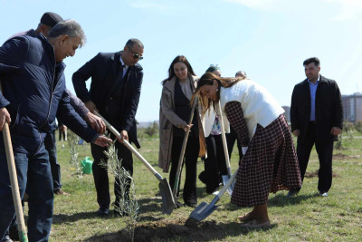 “Heydər Əliyev İli” çərçivəsində bulvarda 500 zeytun fidanı əkilib