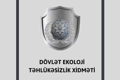 Sumqayıtda təbiətə ziyan vuran şəxs məhkəmə qarşısına çıxacaq