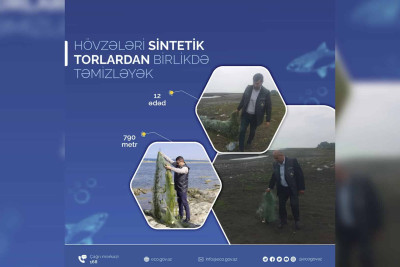 Sumqayıtda dənizdən sintetik tor götürülüb