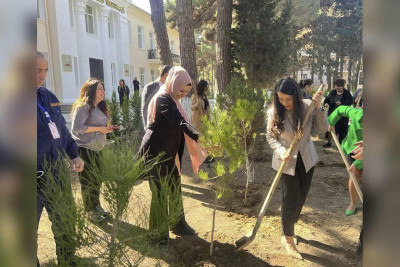 Tibb ocaqlarının həyətyanı sahələrində 150-dən çox ağac əkilib