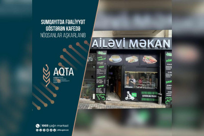 “Nanə Pizza”da müxtəlif nöqsanlar tapılıb