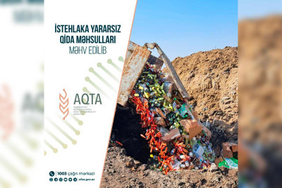 Sumqayıtda 28 ton qida məhsulu utilizasiya olunub