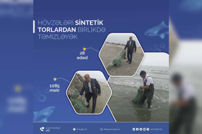 Xəzər dənizindən sintetik torlar yığışdırılıb