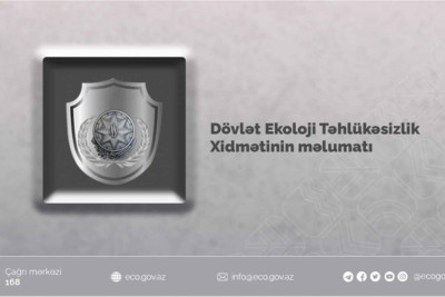 Sumqayıtda təbiətə ziyan vuran şəxslər cəzalandırılıblar