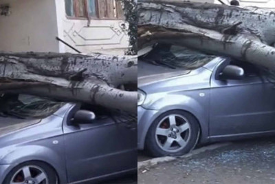 Sumqayıtda ağac avtomobilin üstünə aşıb