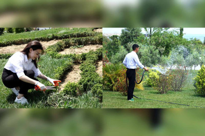 “ASAN” könüllüləri yaşıllıqlara qulluq göstəriblər
