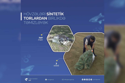 Sumqayıt akvatoriyasından sintetik torlar yığışdırılıb