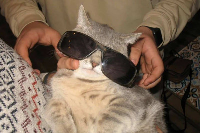 Gənclərin əyləncə yeri - “Yuxu”