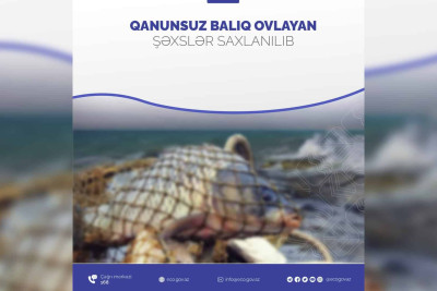 Qanunsuz balıq ovlayan şəxs cəzalandırılıb