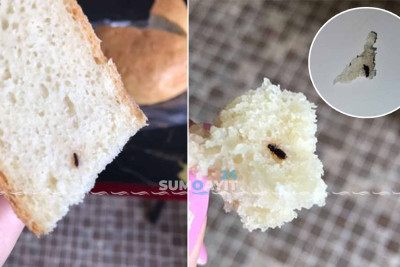 Sumqayıtda istehsal olunan çörəklərdə böcəklər tapılır - İDDİA