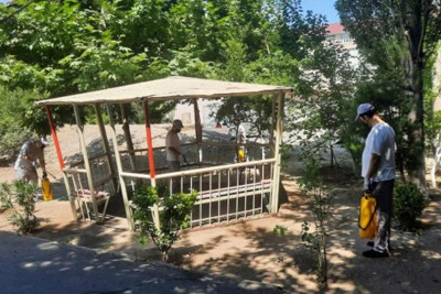 Sumqayıtda qrafikə uyğun dezinfeksiya və deratizasiya işləri aparılır