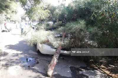 Sumqayıtda ürəyi tutan sürücü qəzaya düşüb