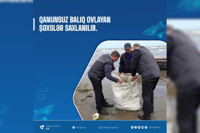 Qanunsuz balıq ovlayan Sumqayıt sakini tutulub