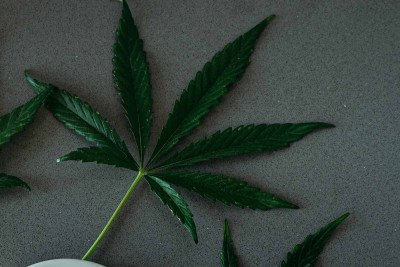 Sumqayıtda vətəndaşdan marixuana götürülüb