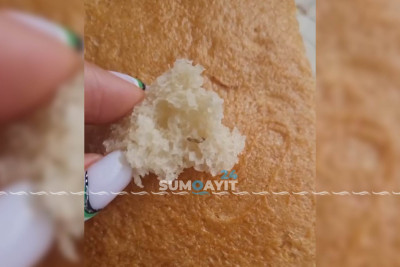 Sumqayıtda istehsal olunan çörəkdə həşəratlar aşkarlanıb