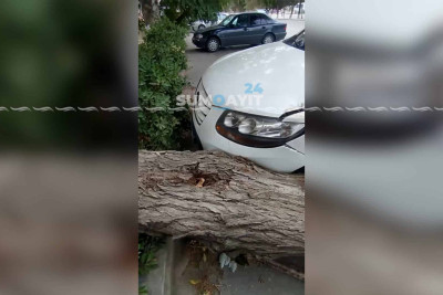 Güclü külək Sumqayıtda fəsadlar törədib
