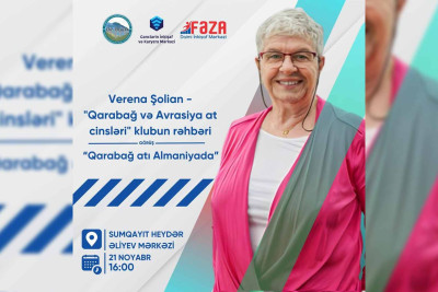 Sumqayıtda Qarabağ atları ilə bağlı görüş keçiriləcək