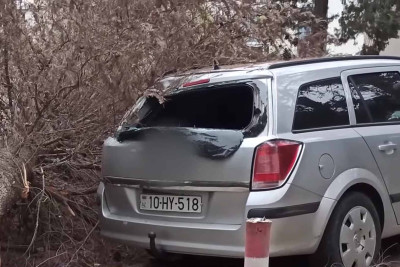 İrigövdəli ağac “Opel”i əzib