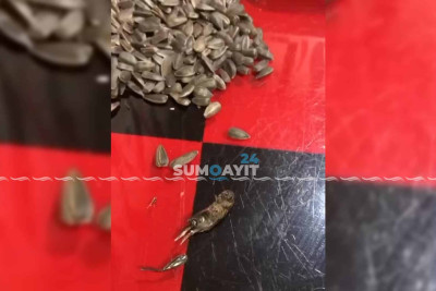 Sumqayıt sakini 20 qəpiyə “çəyirtkəli tum” alıb