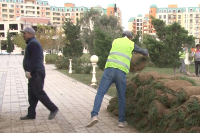 Sumqayıt bulvarı abadlaşdırılır