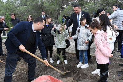 Nəsimi adına Mədəniyyət və İstirahət parkında 300-dən çox ağac əkilib