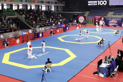 Yeniyetmə idmançımız taekvondo üzrə Respublika çempionatının üçüncüsü olub