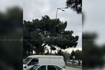 İşıq dirəyi hər an aşa bilər