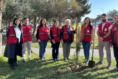 40-cı məhəllədəki parkda ağaclar əkilib