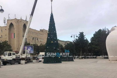 Sumqayıtda bayram küknarları quraşdırılır