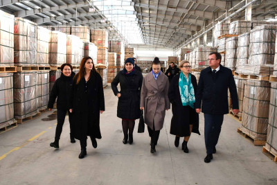 Xarici səfir Sumqayıt Kimya Sənaye Parkı ilə tanış olub