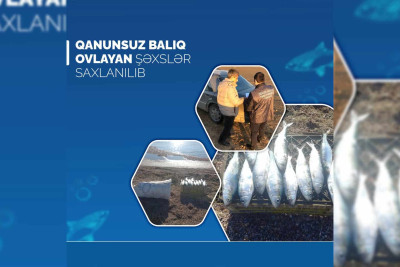 Qanunsuz balıq ovlayan Sumqayıt sakini cərimələnib