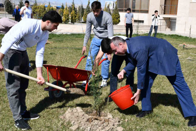 Sumqayıt Kimya Sənaye Parkında həmişəyaşıl ağaclar əkilib