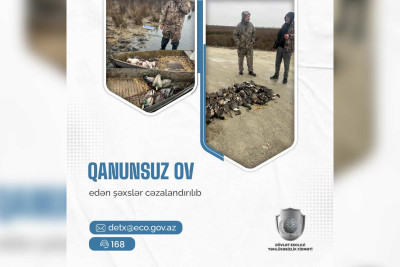 Qanunsuz ov edən şəxs cəzalandırılıb