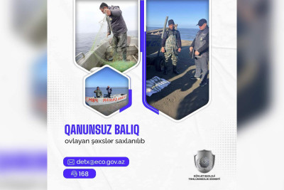 Qanunsuz balıq ovlayan qəsəbə sakini saxlanılıb