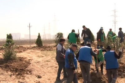 Sumqayıtda abadlıq işləri görülür