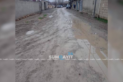 Kotecin bu ərazisi baxımsız vəziyyətdədir
