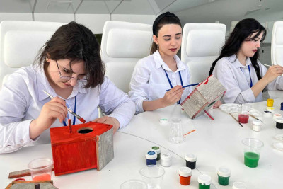 Sumqayıtda gənclər quş yuvaları düzəldiblər