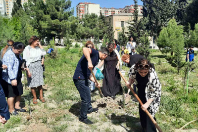 Tədris ocağının həyətyanı sahəsi yaşıllaşdırılıb