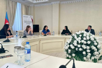 Monitorinq qrupu gender zorakılığının qarşısını almaq yollarını müzakirə edib