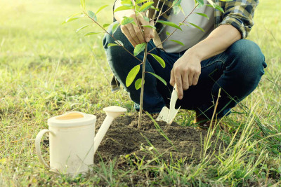 Sarayda tullantı əvəzinə ting paylanacaq