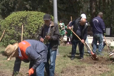 Nəsimi parkında abadlıq işləri aparılır