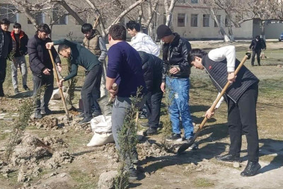 “Yaşıl dünya naminə həmrəylik ili” çərçivəsində Peşə Təhsil Mərkəzində ağaclar əkilib