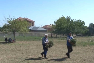 Şəhər ərazisində iməcilik və abadlıq işləri görülüb