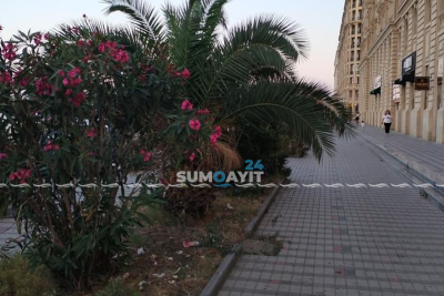 Bulvardakı komplekslərdə təmizliyə riayət olunmur